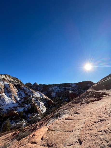 Lingje kunst erwachsene bilder