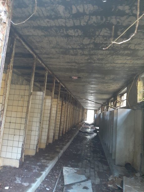 LordShwanzy beste top archiv