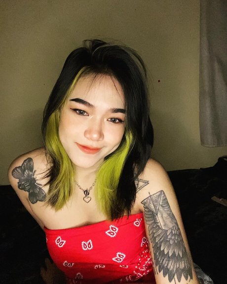 Lynse top kostenlose galerien