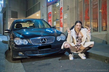 asiatische kätzchen nur fans hd sexy bild