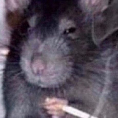 nackte milf onlyfans hübsche nackte bilder