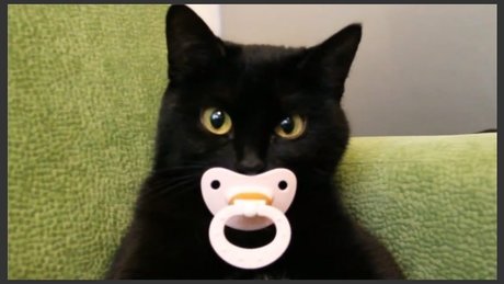 Erotic Taboo Literature 693 hd perfekte galerie