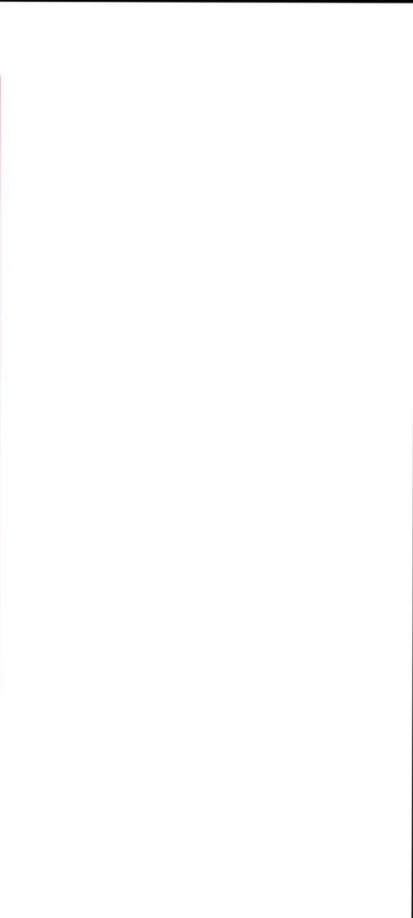 _KING DOM TOP_ erotische exklusive galerien