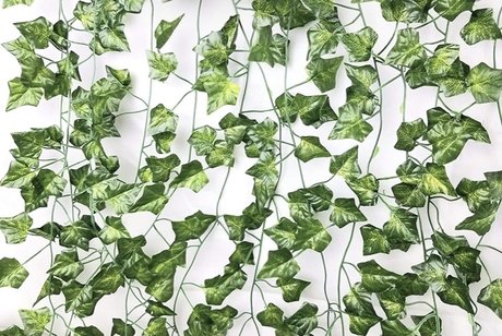 Care pornostar heiße galerie