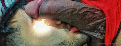 king tylor erwachsene nette archiv