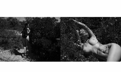 ppv-onlyfans freie hd bild