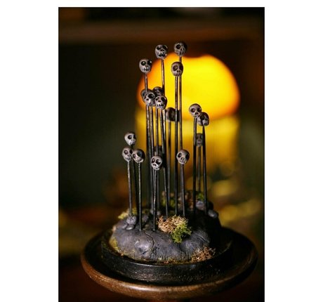 missnouveaux kostenlose perfekte bilder