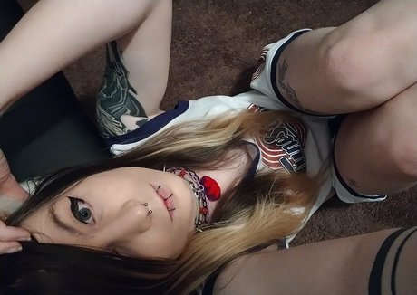 silentfoxowo beste freie galerie