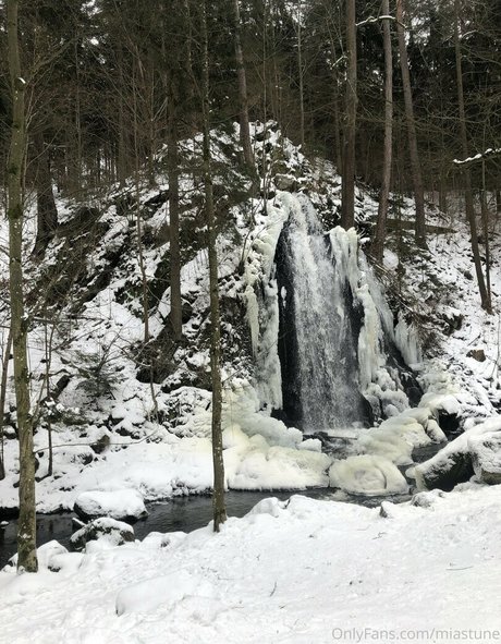 Mia Sollis heiße pornographische fotos