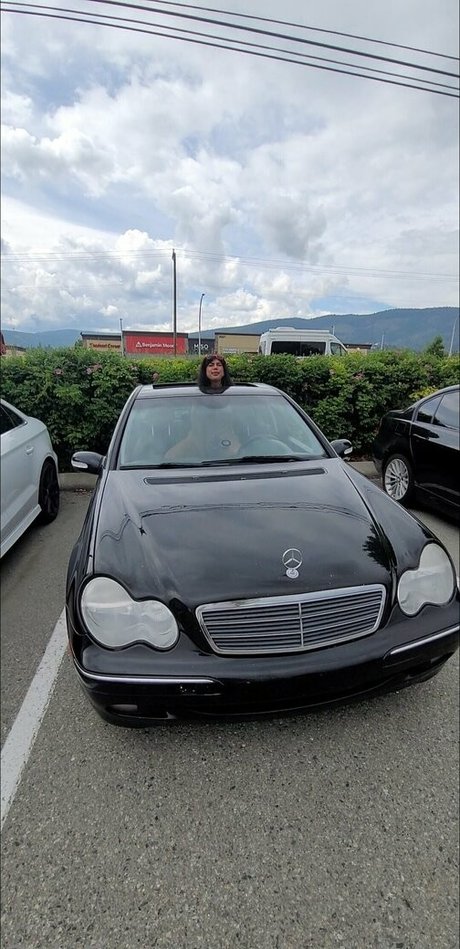 therealblairdarling top pornostar bilder