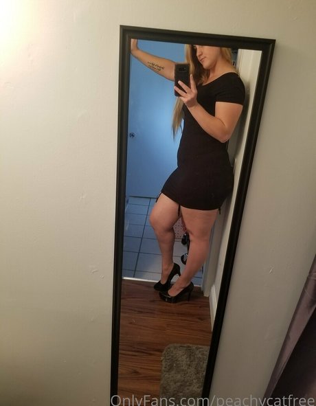 peachycatfree top kunst bilder