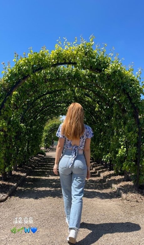 Rosyshimmer hd schöne bilder