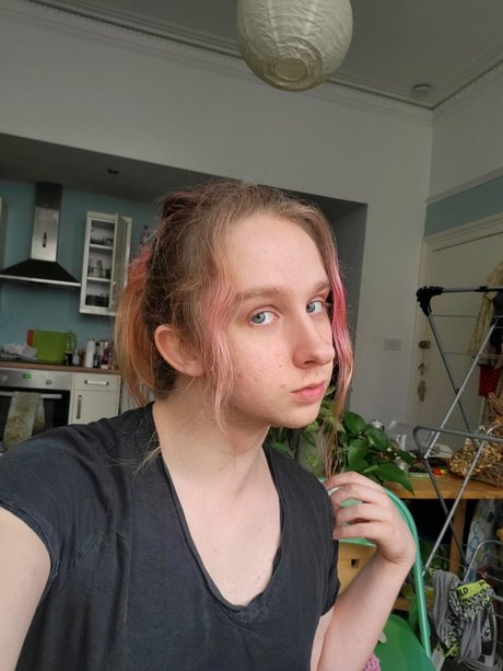 Ed_ schöne pornografische galerie