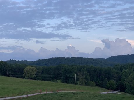 bbw-transe nur fans sexy top bild