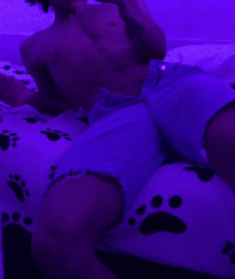 niv freie exklusive bild