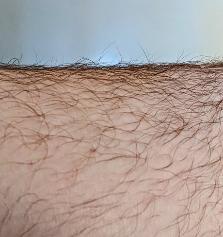 Niq Colette kostenlose pornostar bilder