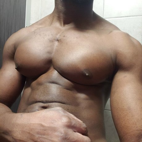 Pec Panther model top foto