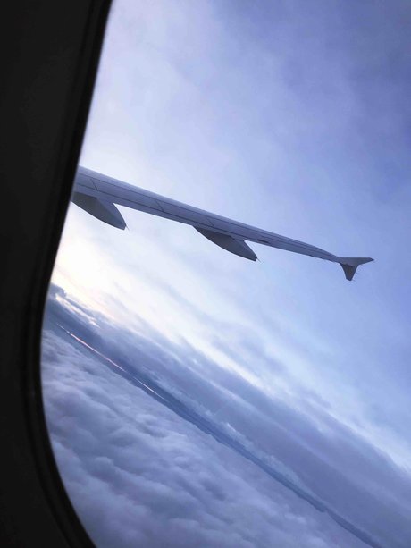 PapiRigo schöne hübsche archiv