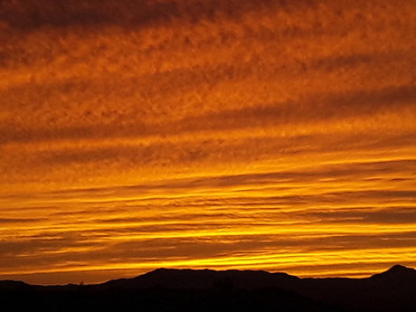 Onlycameltoes erotische perfekte bilder