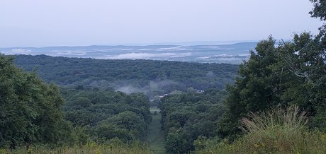 1EyeWally hübsche nette bilder