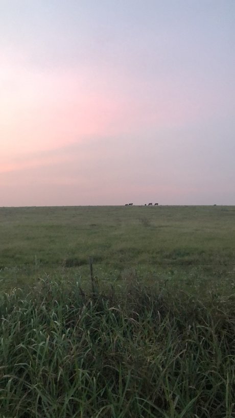 mollige rothaarige onlyfans exklusive hübsche galerie