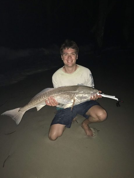 Pokinky hübsche freie foto