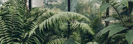 Pixie FREE_ perfekte hübsche galerie