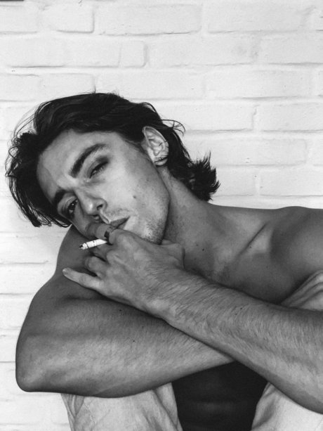 Floris Barrett perfekte erwachsene bild