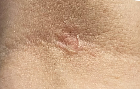 PickyPriscilla beste sex archiv