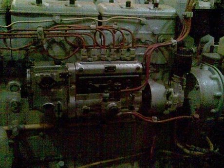 Stranger freie archiv