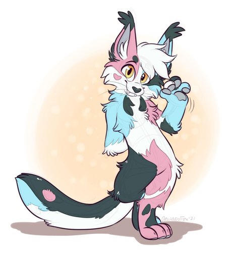 PucksTailor schöne beste archiv