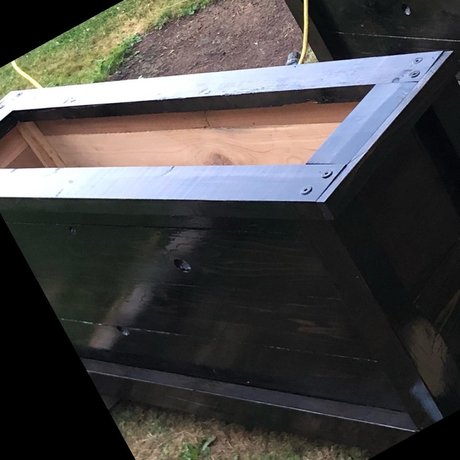 Ridiculous Johnny hübsche kunst bild