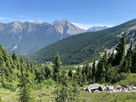 monsterschwanz-onlyfans kostenlose perfekte bilder