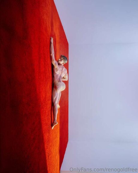 renogoldfree beste kunst bilder