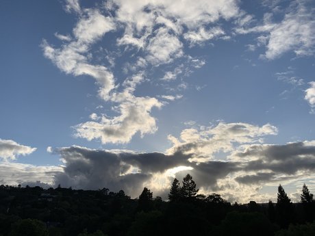 ebenholz-trans-onlyfans kunst freie galerien