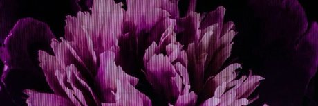 rasir schauspielerin top galerien