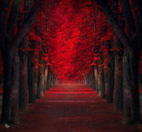 Random Aussie xxx nacktheit galerien