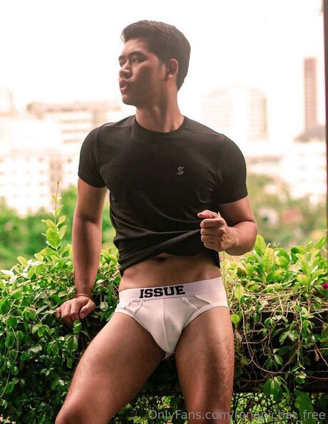 ronapichat free top schöne bild