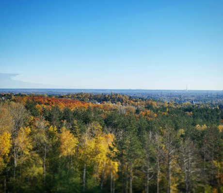 Roman Fox xxx nackten foto