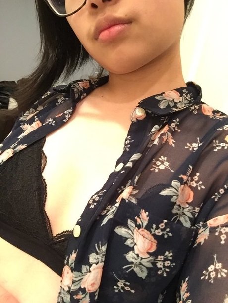 bambi boi hübsche freie archiv