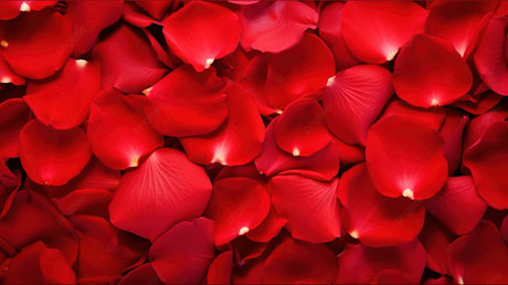 _Banaia Jordan_ model kunst fotos