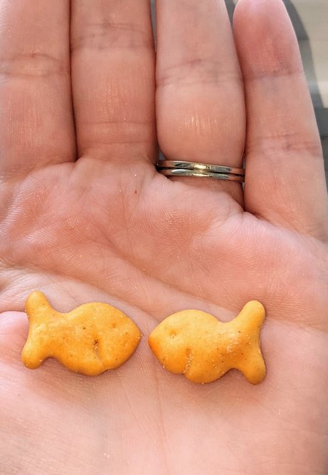 Banana amp amp Milkshakes beste nackte galerie