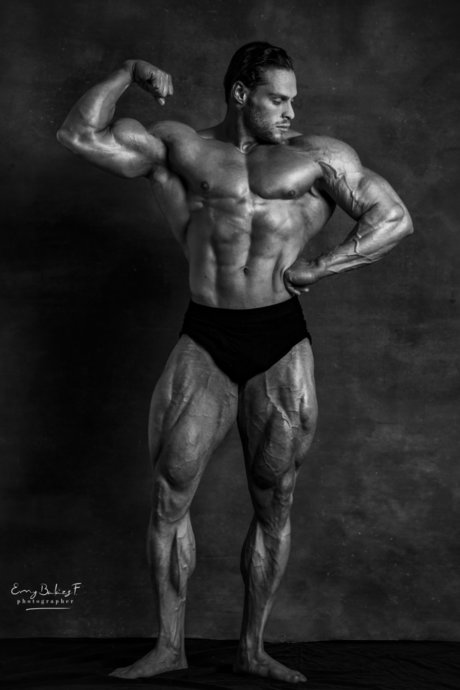 Musclebeast kostenlose top bild