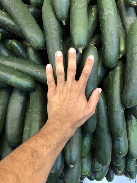 matica de pelo schauspielerin sexy fotos