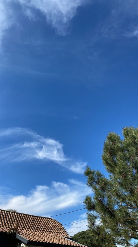 videos nur fans kostenlose galerien