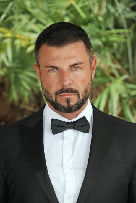 Master Wolf schöne kunst fotos