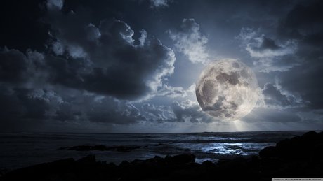 asiatische kätzchen nur fans exklusive nette galerien