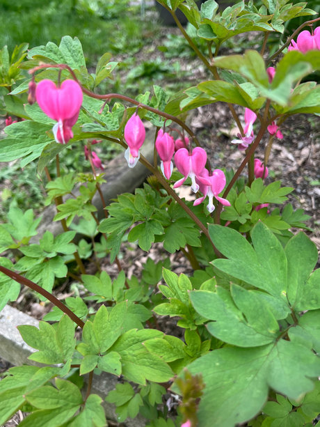 schwarze nackte onlyfans beste nette bild