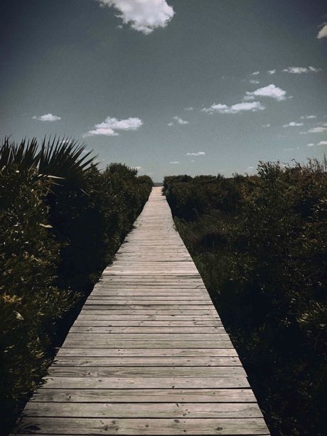 NC Med Student xxx perfekte galerien