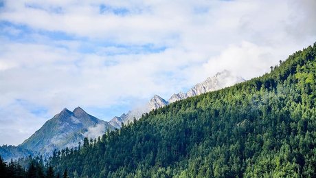 bbc-onlyfans erwachsene exklusive foto